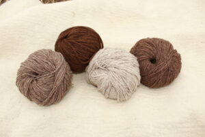 FADO (fransk brun merino)