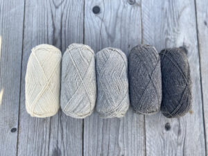 VESLE TRØNDER (LEINE MERINO x SELBU SPINNERI)